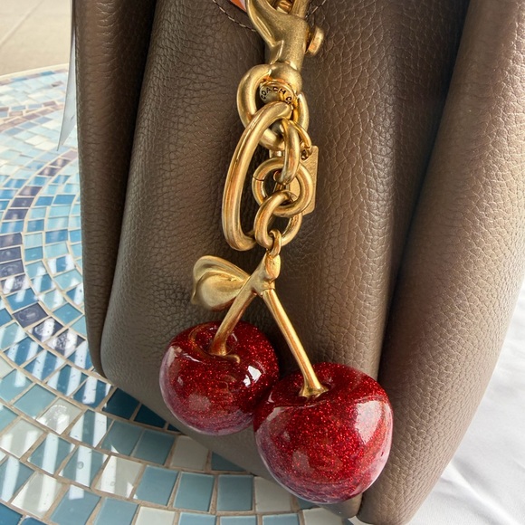 NWT Coach Lana 23 Dark Stone and Cherry Bag Charm - Picture 15 of 16